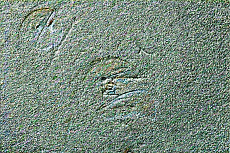 20250101 250819 ejected bodies Untitled-1